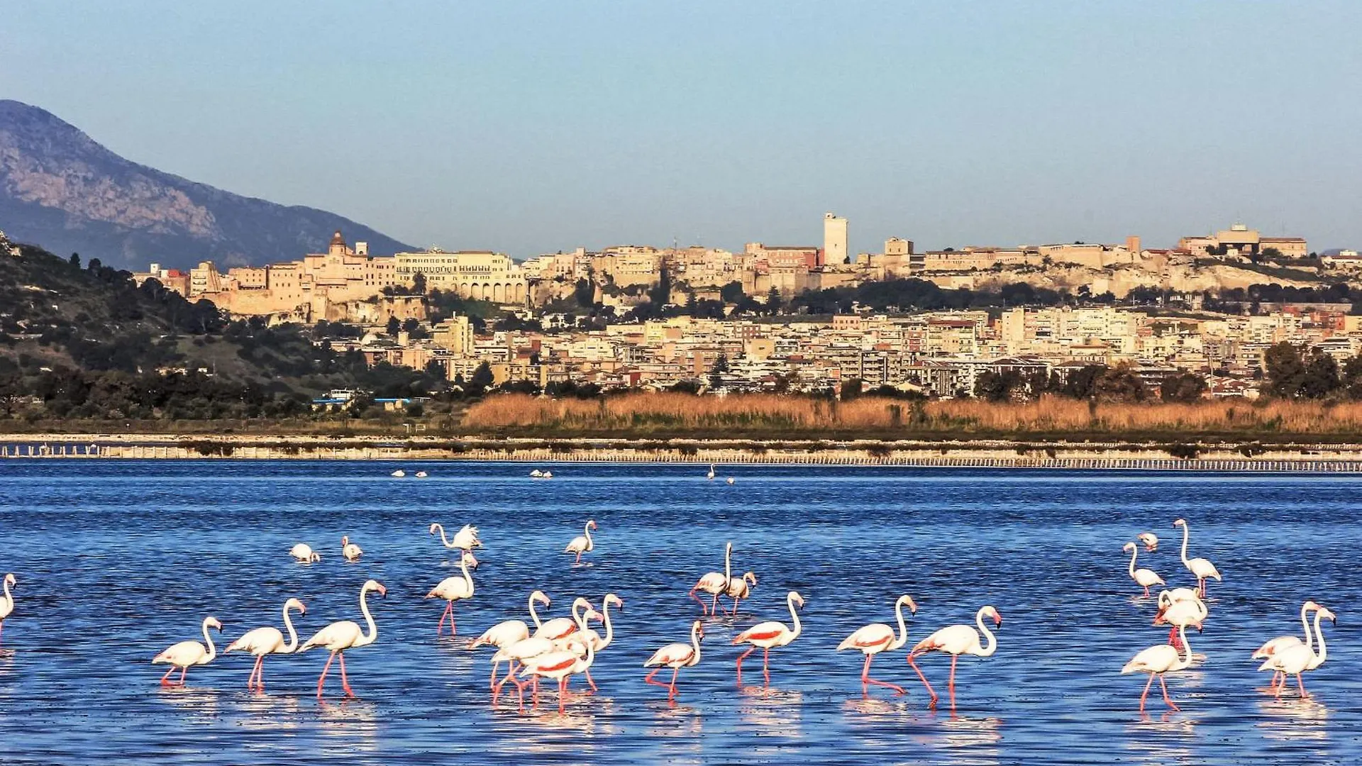 Holiday Home Cagliari Centro By Interhome